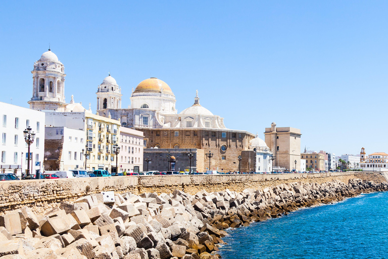 Cádiz: Premium Tuk Tuk tourCádiz: Premium Tuk Tuk tour - ESPAÑOL