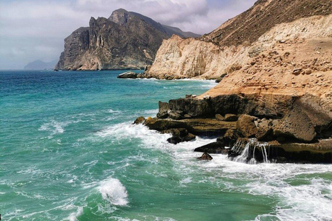 Salalah | Spiaggia di Fazayah, spiaggia di Mughsail e alberi di incenso