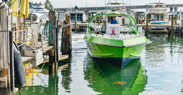 Miami: Sightseeing Speedboat Tour photo 8