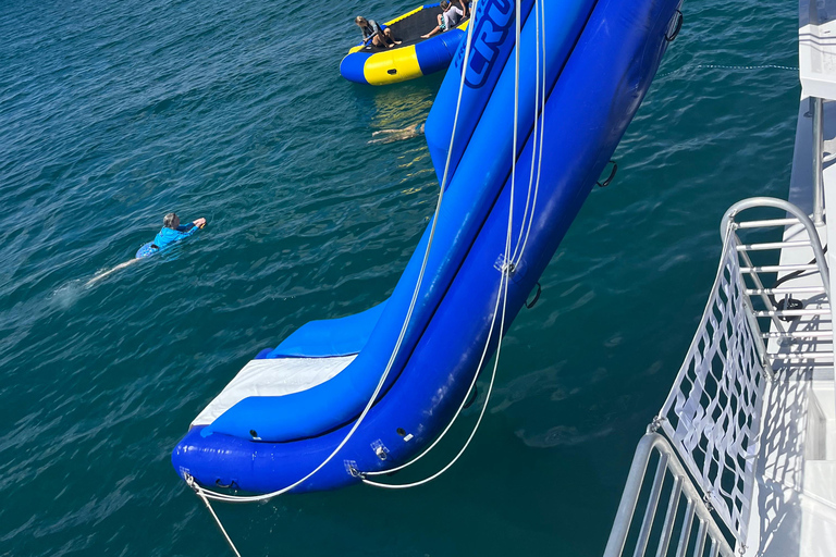 Honolulú: Crucero de lujo con snorkel y vida salvaje por WaikikiHonolulu: Crucero de lujo con snorkel y vida salvaje por Waikiki