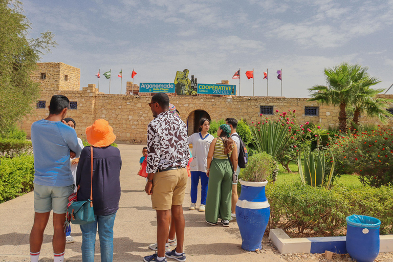 Agadir: Day Trip to Essaouira with Medina & Beach Time