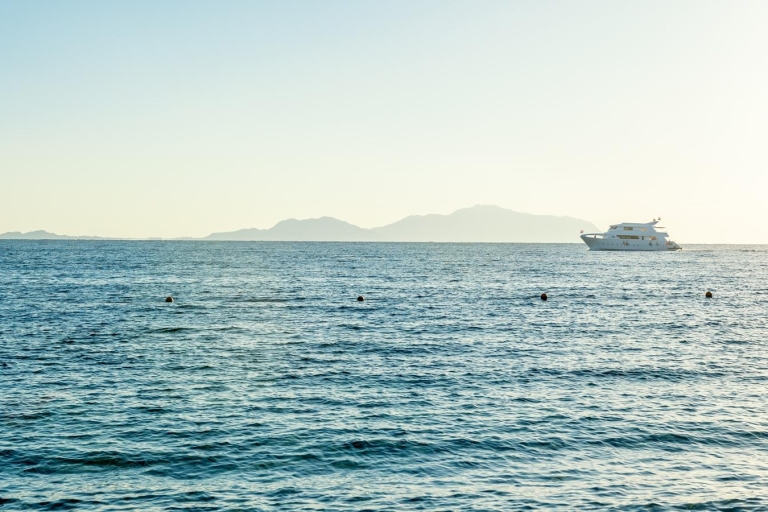 Sharm El Sheikh: Prywatna wycieczka łodzią motorową na wyspę Tiran