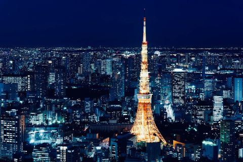 Tour giornaliero personalizzabile di Tokyo Private Sightseeing in auto e furgone