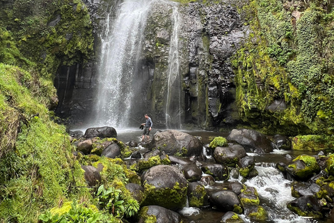内罗毕：肯尼亚山五日徒步之旅（含餐饮及向导）内罗毕：5 天肯尼亚山徒步旅行（含餐饮和向导