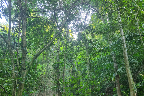 São Paulo: Waterfalls Hike, Beach View, & Chairlift Tour