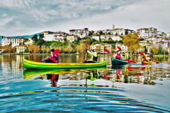 Birdwatching | Kastoria things to do in Kastoria