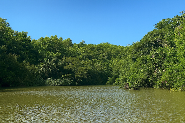Visita Boca de Yuma - Immersione culturale dominicana