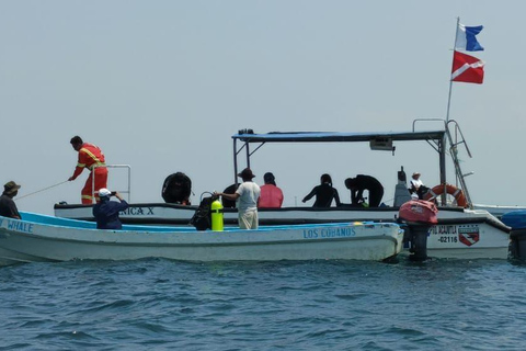 Los Cobanos: Increíble tour en barco para observar la fauna marina