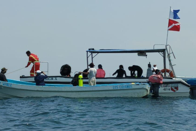 Los Cobanos: Incrível passeio de barco para observação da vida selvagem marinha