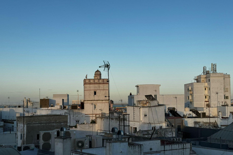 Cadiz from a seagull's eye view: a route among rooftops and lookout towers