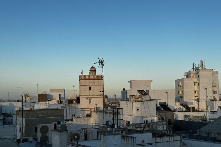 Cádiz from a Seagull's view:A tour among Rooftops and Towers