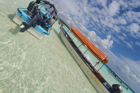 Zanzíbar: Observación de delfines en la isla de Mnemba y crucero al atardecer