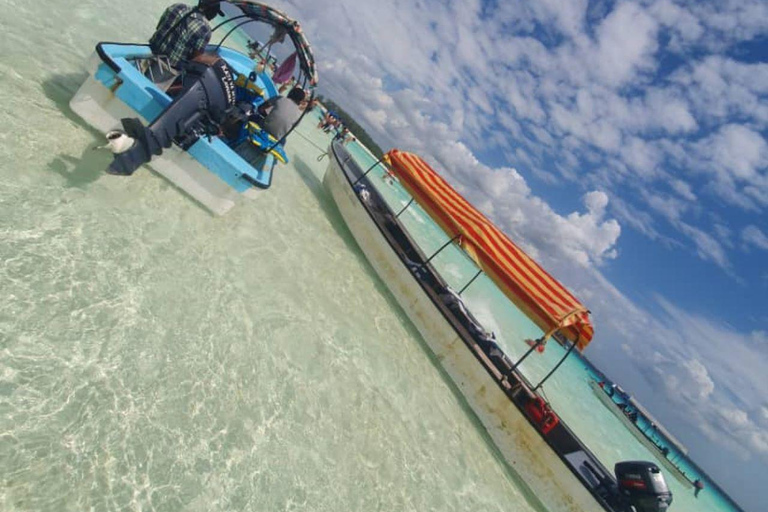 Zanzíbar: Observación de delfines en la isla de Mnemba y crucero al atardecer
