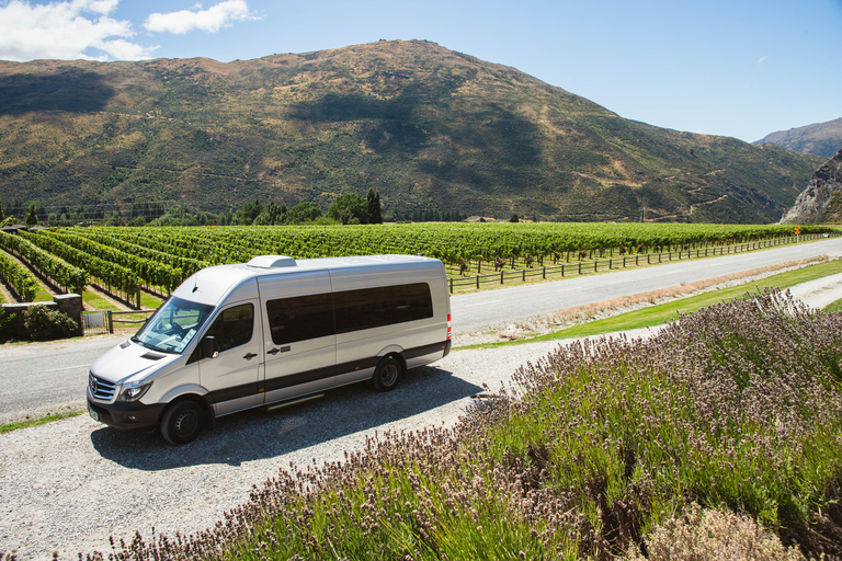 Tour in elicottero di Queenstown con degustazione di vini