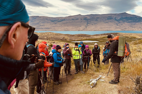 Torres del Paine: Aventura Express (2 dias)