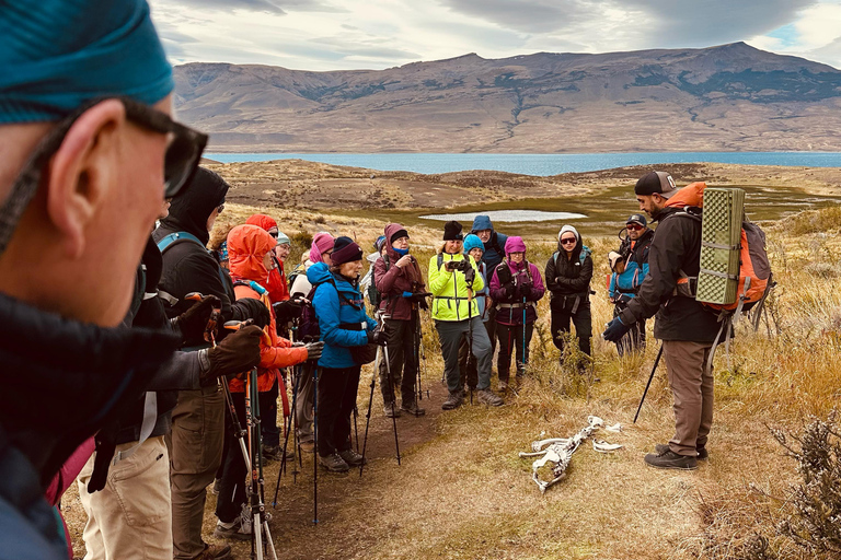 Torres del Paine: Aventura Express (2 dias)