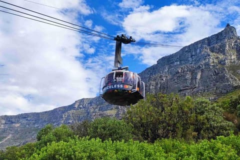Table Mountain Kirstenbosch & Wine Tasting Private Day Tour