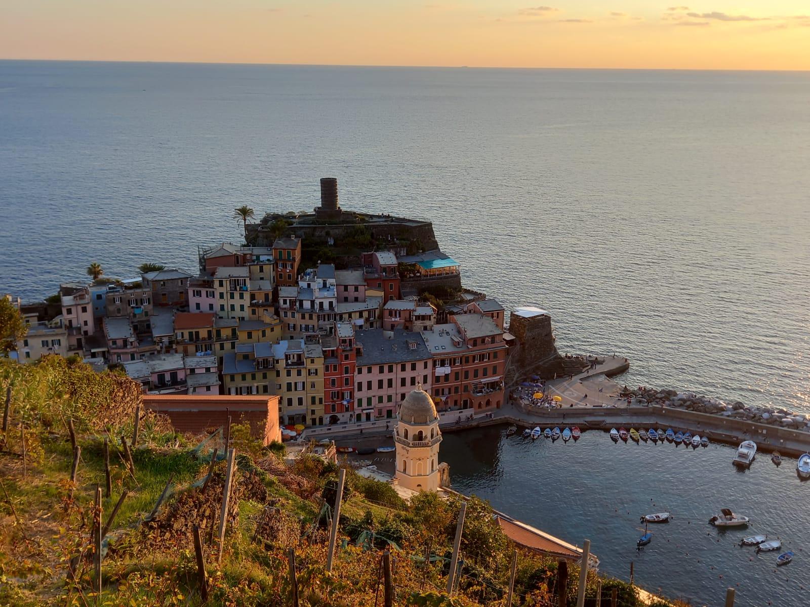 Vernazza: Olivenhain-Tour und Verkostung von Öl und Wein aus den Cinque Terre