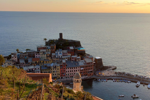 Vernazza: Olive Grove Tour and 5 Terre Olive Oil and Wine Tasting Vernazza (5 Terre): olive grove tour and oil and wine tasting
