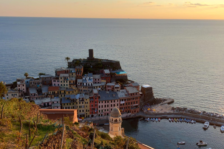 Vernazza: Olive Grove Tour and 5 Terre Olive Oil and Wine Tasting Vernazza (5 Terre): olive grove tour and oil and wine tasting