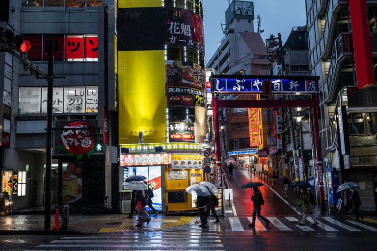Tokyo: City One Day Private Customizable Top Places Tour