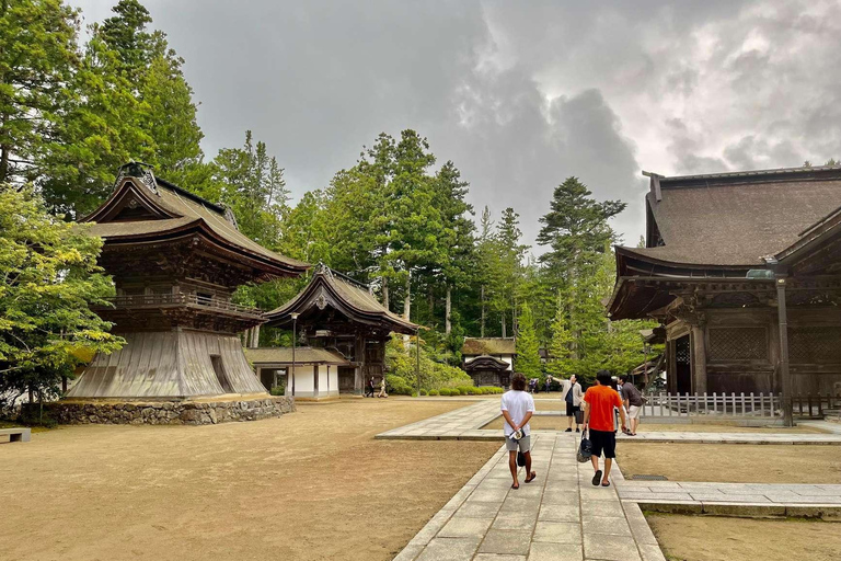 Wakayama & Koyasan: Private Tour with Hotel Pickup & Lunch