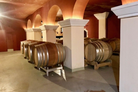 Desde Niza: Visitas guiadas de un día a la Provenza y cata de vinosVisita privada