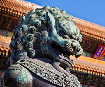 Private Layover Tour with Choice of Duration