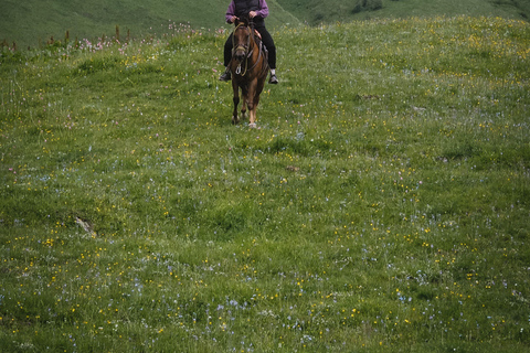 Dragør: Søvang Horseback Riding Tour with Icelandic Horses