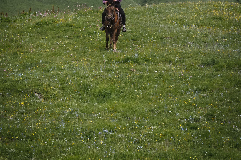 Dragør: Søvang Horseback Riding Tour with Icelandic Horses