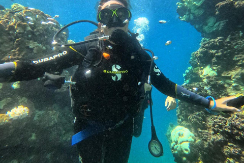 Jeddah: Scuba Diving Tour for Beginners