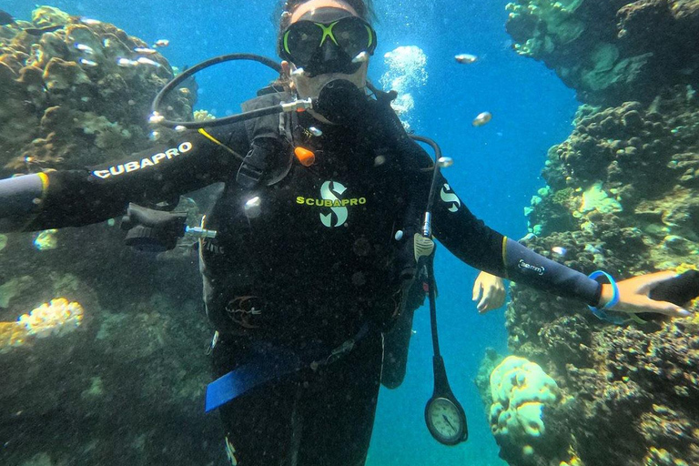 Jeddah: Scuba Diving Tour for Beginners