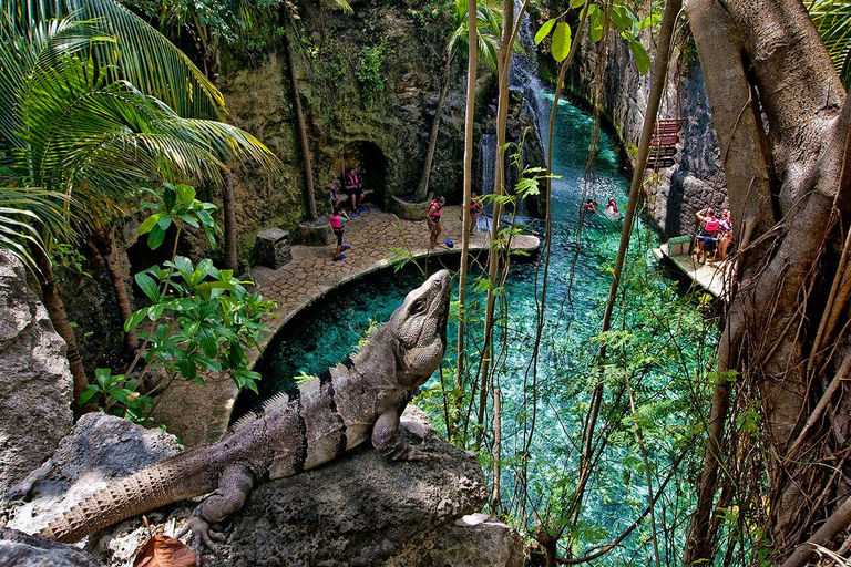 From Playa del Carmen: Complete Combo to Xcaret Park! Xcaret Park Entrance