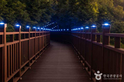 Busan: escursione notturna con la migliore vista sull&#039;oceano