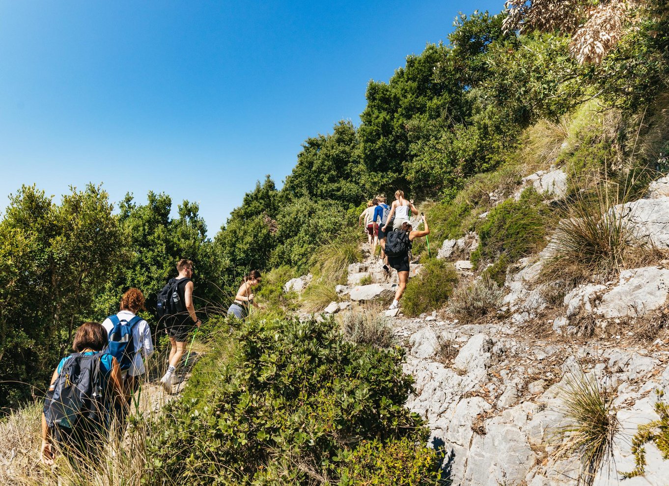 Fra Sorrento: Guidet vandretur på gudernes sti med transport