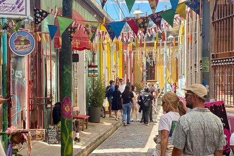 Privat dagstur till Valparaíso och Viña del Mar