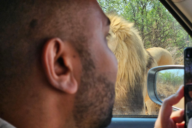 Tour privado de safari: Los 5 Grandes del Parque Nacional de Pilansberg