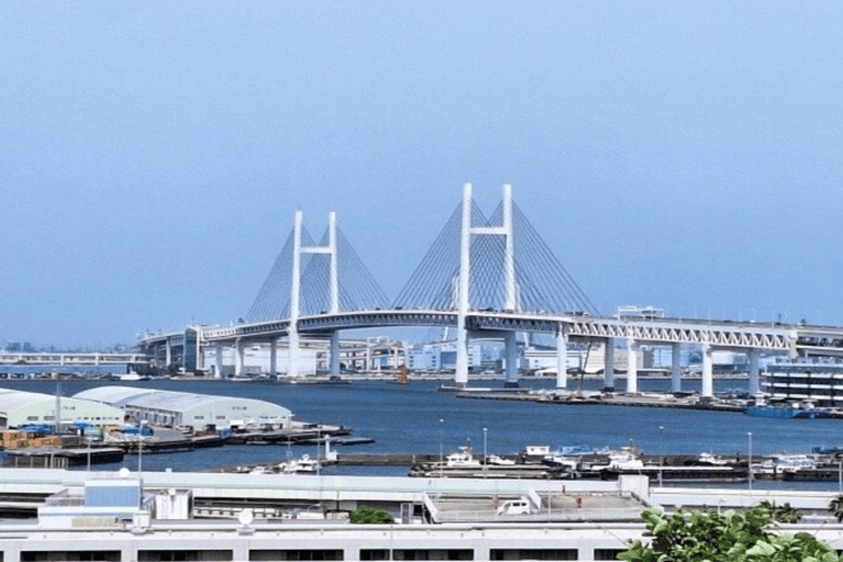 Yokohama: Yamate District & Port History Walking Tour