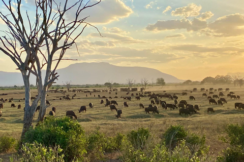 Z Mombasy: 6-dniowa wycieczka do Tsavo West, Amboseli i Tsavo East ...Z Mombasy: 6-dniowe Tsavo West, Amboseli i Tsavo East ...