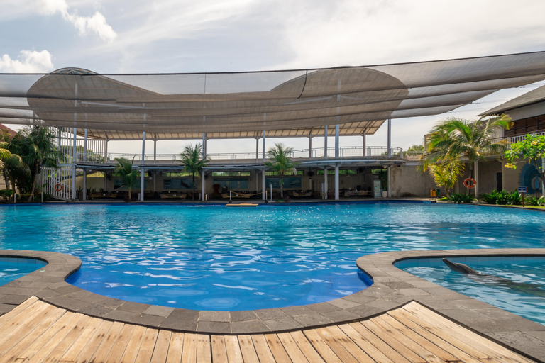 Bali: "Odkrywca" spotyka się z delfinami przy herbacie