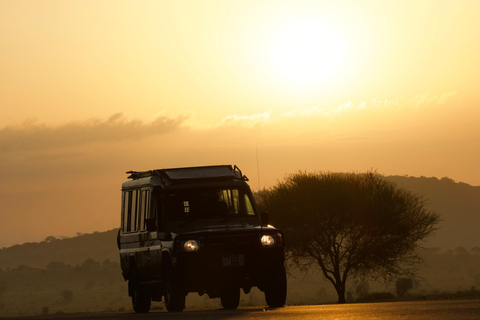 Arusha: 4-daagse Ngorongoro en Serengeti kampeersafari