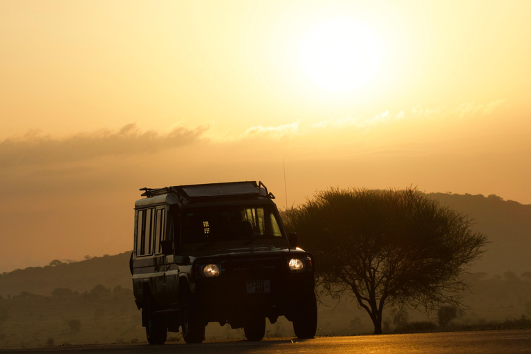 Arusha: 4-daagse Ngorongoro en Serengeti kampeersafari