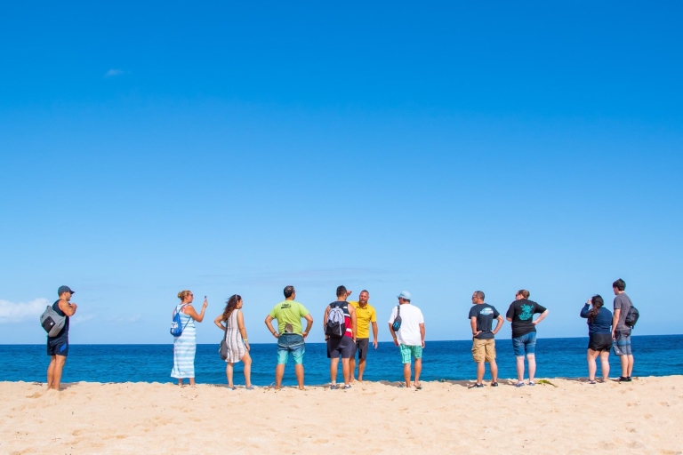De Waikiki: excursion de plongée en apnée sur Circle IslandDe Waikiki: excursion d'une journée à Oahu avec déjeuner et plongée en apnée