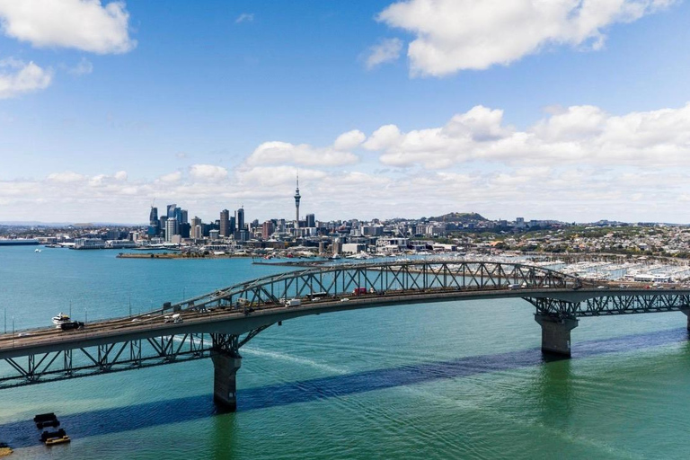 Auckland Harbour Highlights Cruise with Live Commentary