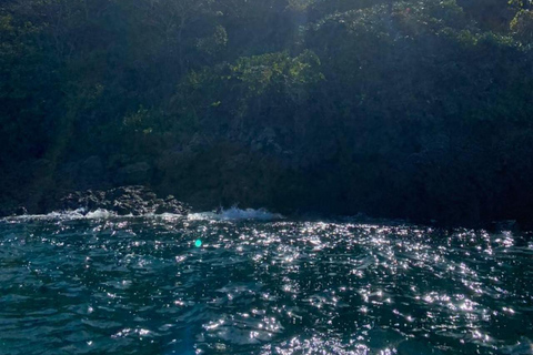 Panama City: Otoque Island Full-Day Tour with Local Lunch So, this is the Otoque Island Whale Watching Experience (seasonal)!