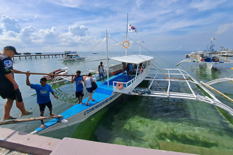 Cebu Nalusuan Island & Marine Sanctuary | Joiners Tour Nalusuan Island Tour