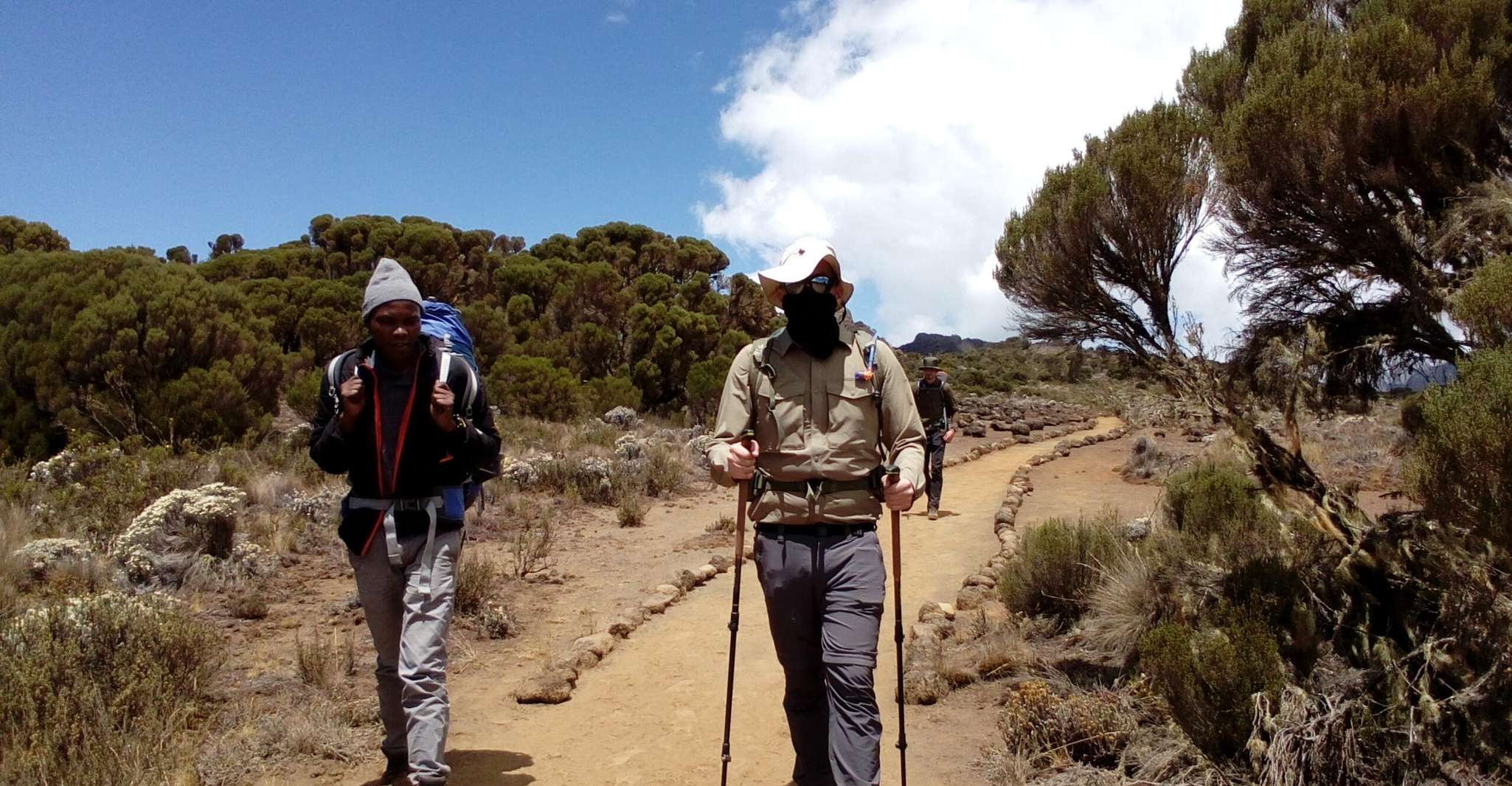 8 jours kilimanjaro rejoignant l'escalade de groupe - Hizvo