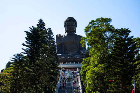 Hong Kong: Lantau, Big Buddha & Tai O Tour w/Private Coach