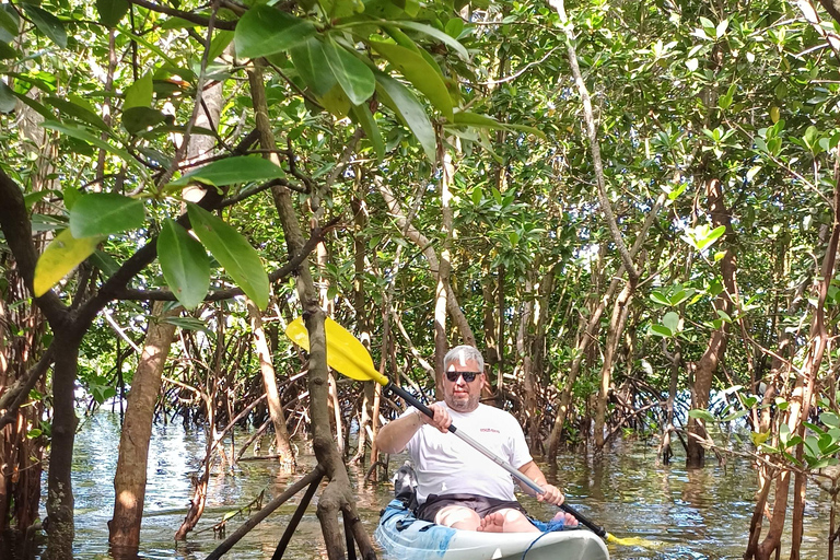 UZI ISLAND MANGROVE CONSAVATION WITH KAYAK TOUR PRIVATE TOUR WITH TRANSFER INCLUDED