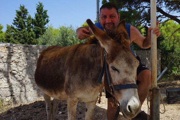 Zakynthos e Kefalonia: Tours guiados e excursões particulares